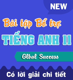 Global Success 11 - Form mới 18/10